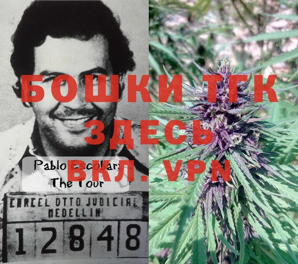 прущая мука Белокуриха
