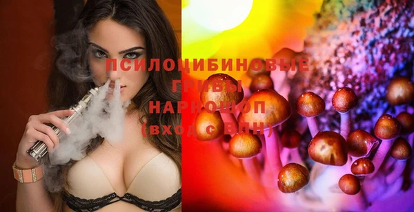 скорость Богданович